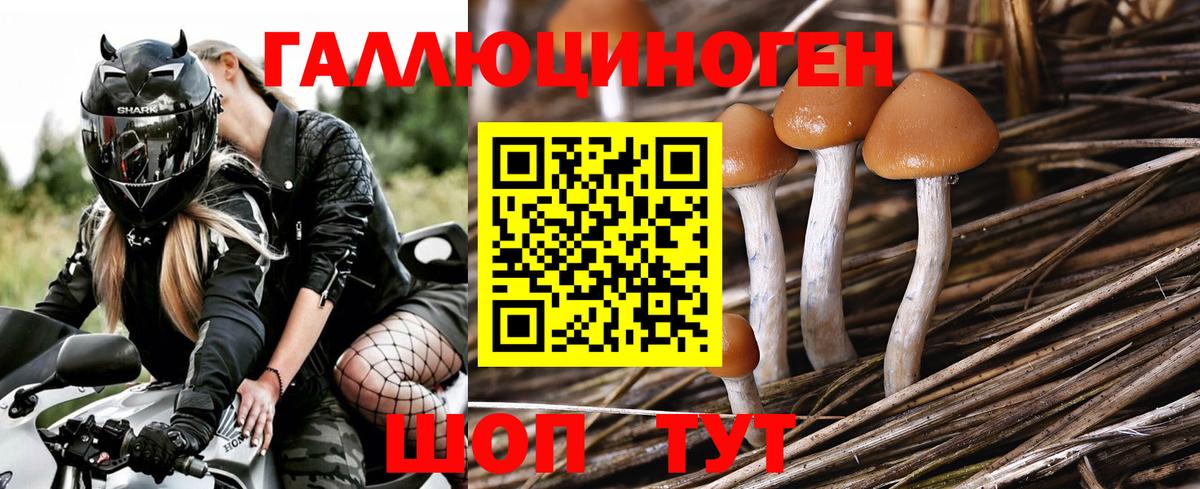Псилоцибиновые грибы MAGIC MUSHROOMS  дарнет шоп  Урай  Вход с VPN 