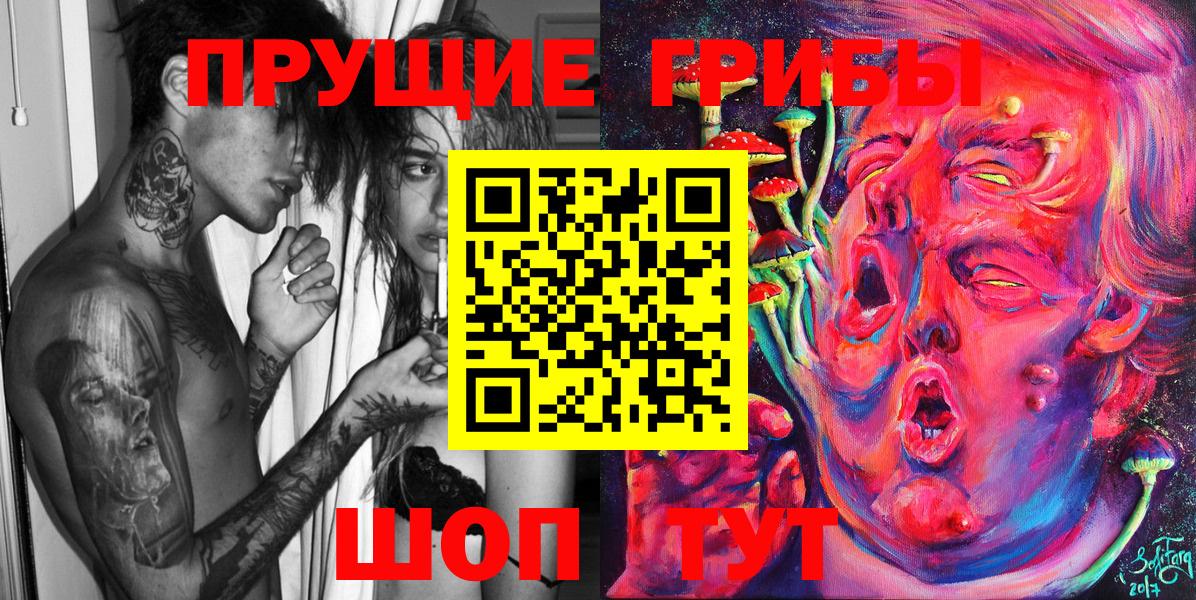Галлюциногенные грибы Psilocybe Урай